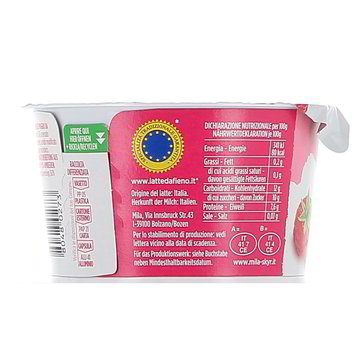 SKYR AL LAMPONE MILA 150 g in dettaglio | Gros Spesa Online
