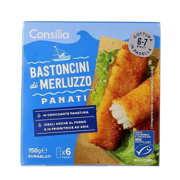 Clip Art Della Siluetta Della Conchiglia Di Mare Disegnata A Mano Su Sfondo Gm1505382885 523385000
